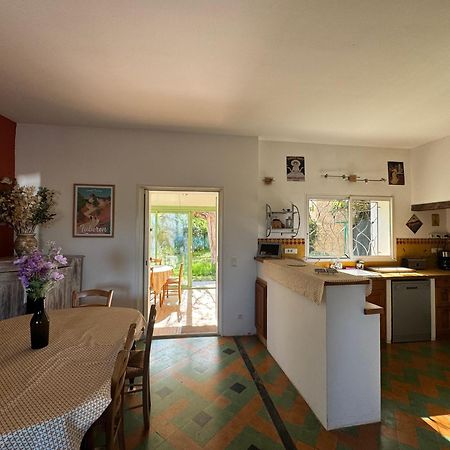 La Boissetane, Maison Provencale Avec Piscine Et Jardin, Au Pied Du Luberon Saint-Martin-de-Castillon Dış mekan fotoğraf