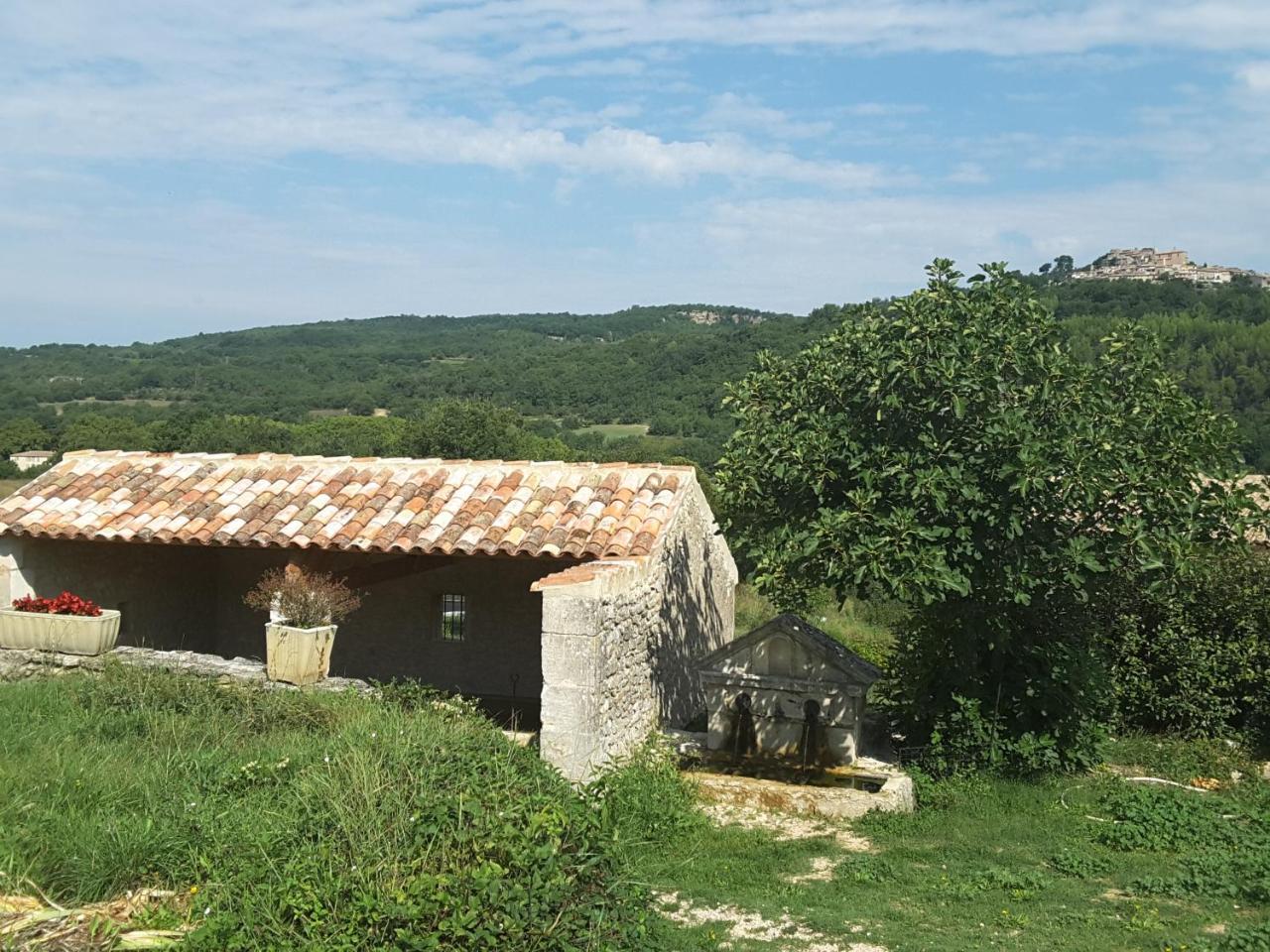 La Boissetane, Maison Provencale Avec Piscine Et Jardin, Au Pied Du Luberon Saint-Martin-de-Castillon Dış mekan fotoğraf